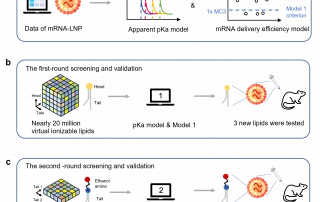 An overview of AI-driven rational design of ionisable lipids for mRNA lipid nanoparticles